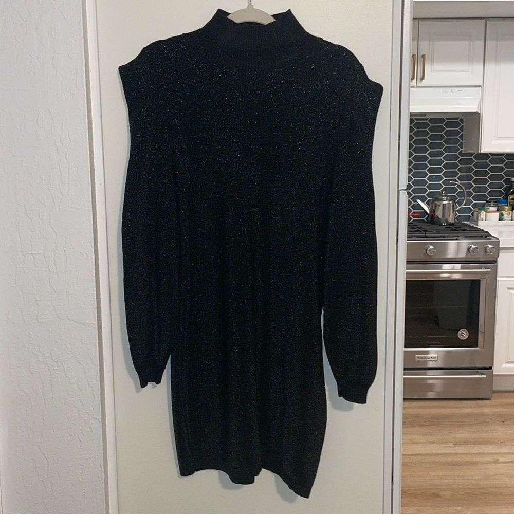 Zara Knit Sparkly Long Sleeve Turtleneck Dress | M
